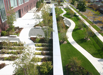 Green Roofs